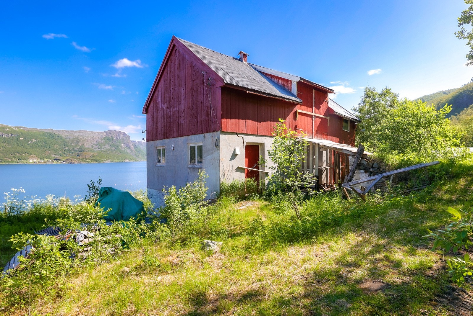 Det er også et fjøs Galleribilde