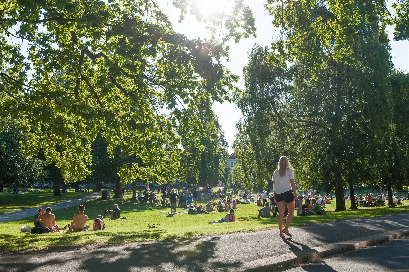 Fra leiligheten er det umiddelbar nærhet til flotte Sofienbergparken. Her er det magisk stemning gjennom hele sommeren! Galleribilde