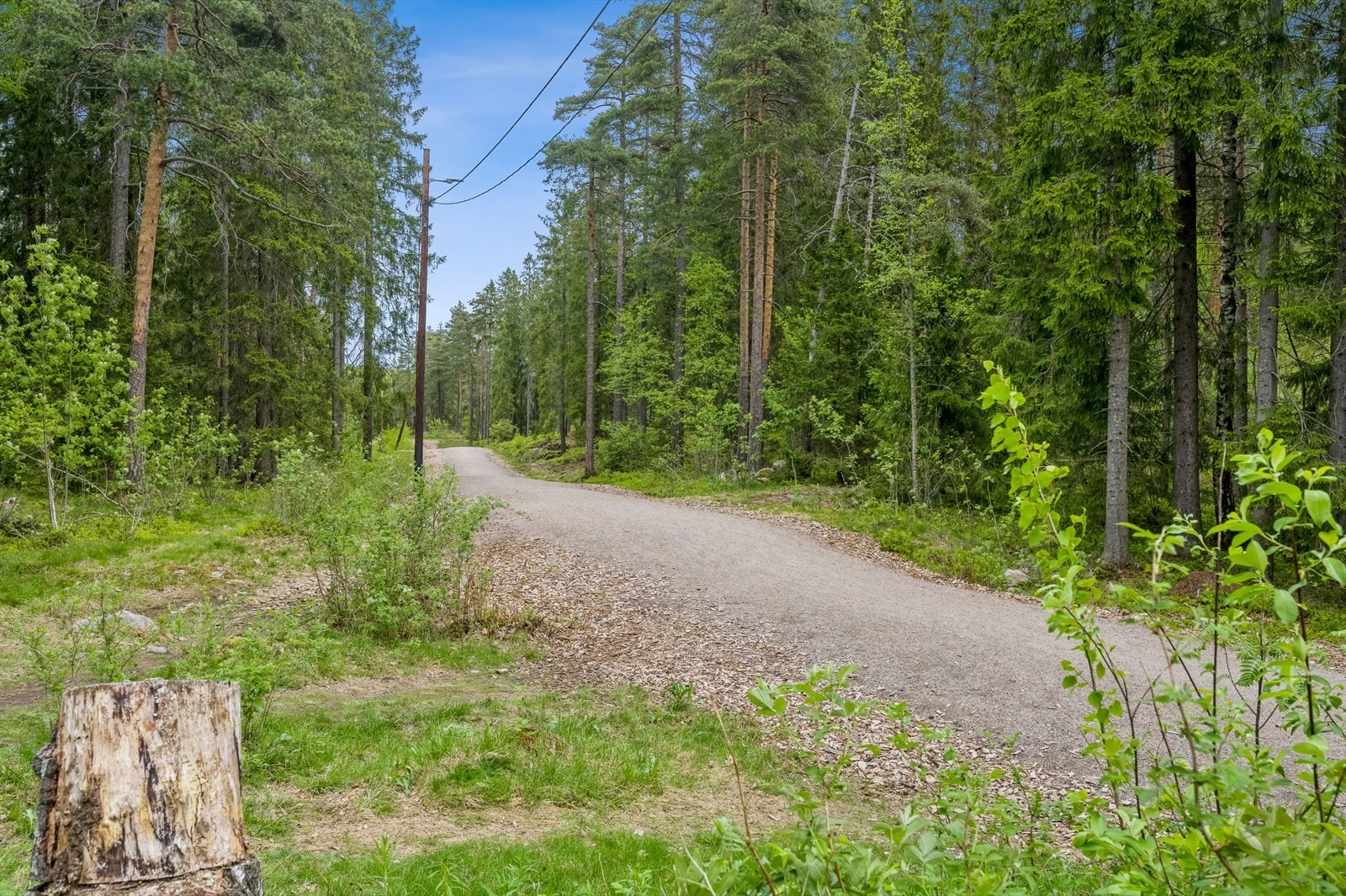 Turstier like bak huset, og ny lysløype som tar deg direkte ut i Nordmarkas skiløypenett. Galleribilde
