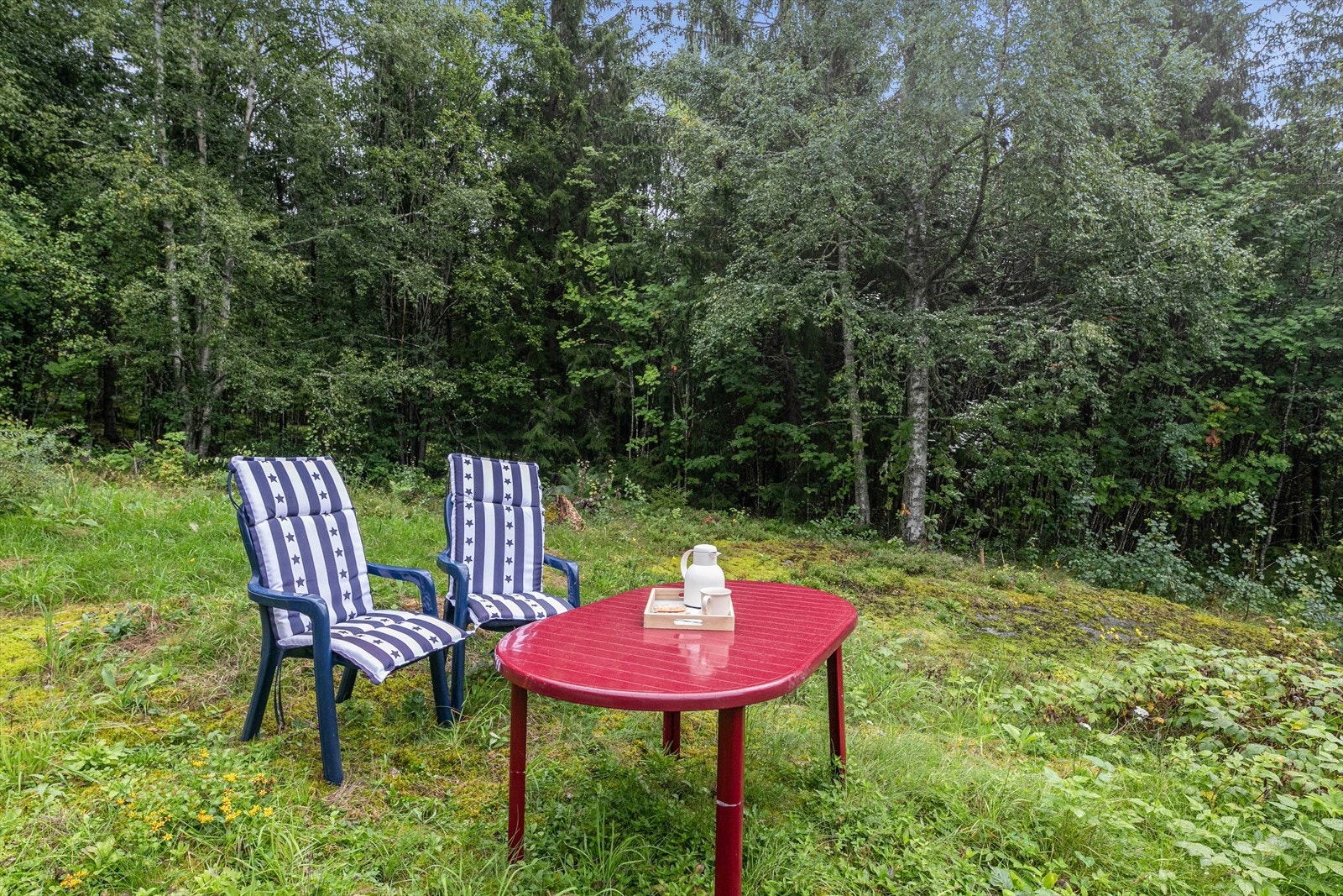Man kan så vidt skimte naboen mellom trærne. Men utover dette ligger du helt for deg selv. Kanskje du finner noen blåbær, så du kan lage ditt eget syltetøy? Galleribilde
