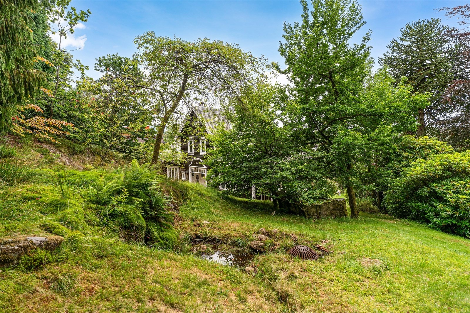 Ettersom topografien bak huset er bratt er det ved Ja-benken anlagt en liten hagedam som også fanger overvann Galleribilde