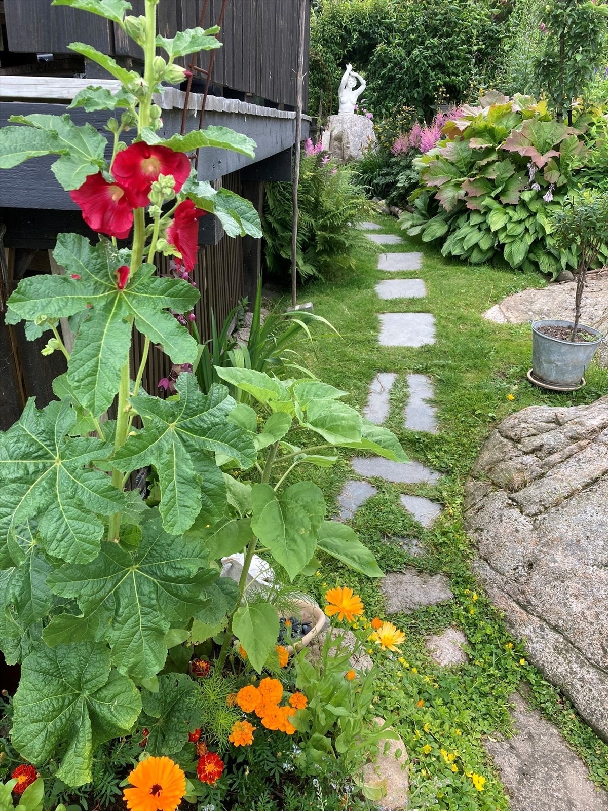 Privat sommerbilde Galleribilde