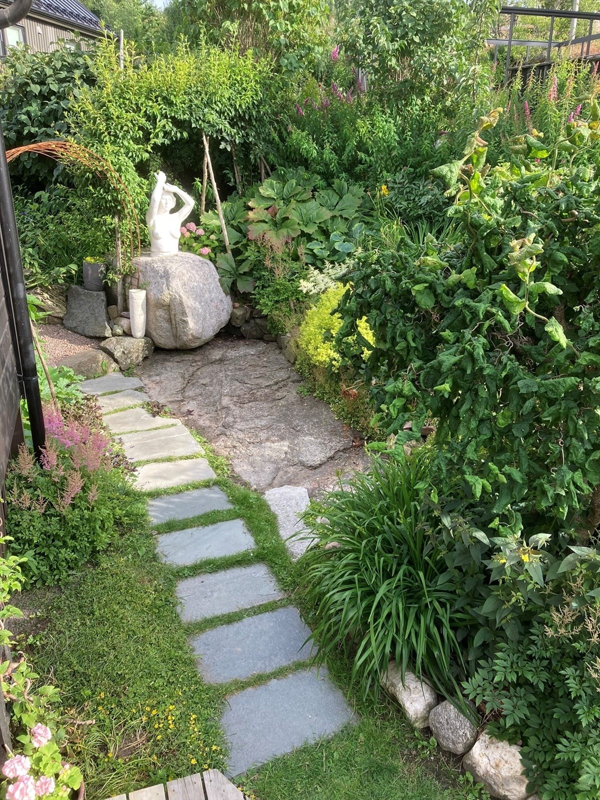 Privat sommerbilde Galleribilde