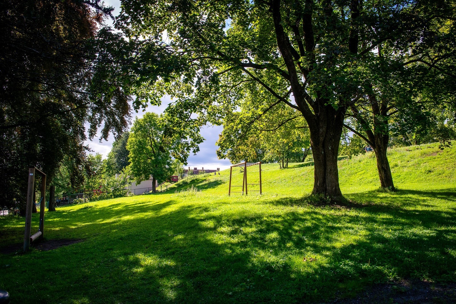 Flotte Halsparken rett utenfor leiligheten Galleribilde