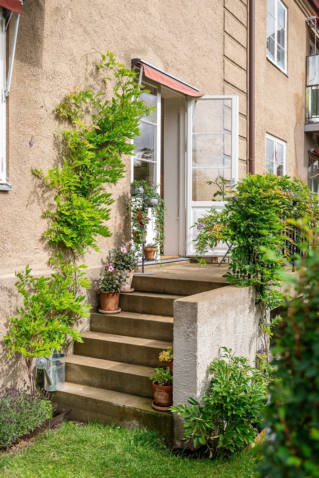 Svært pent opparbeidet og beplantede uteområder Galleribilde