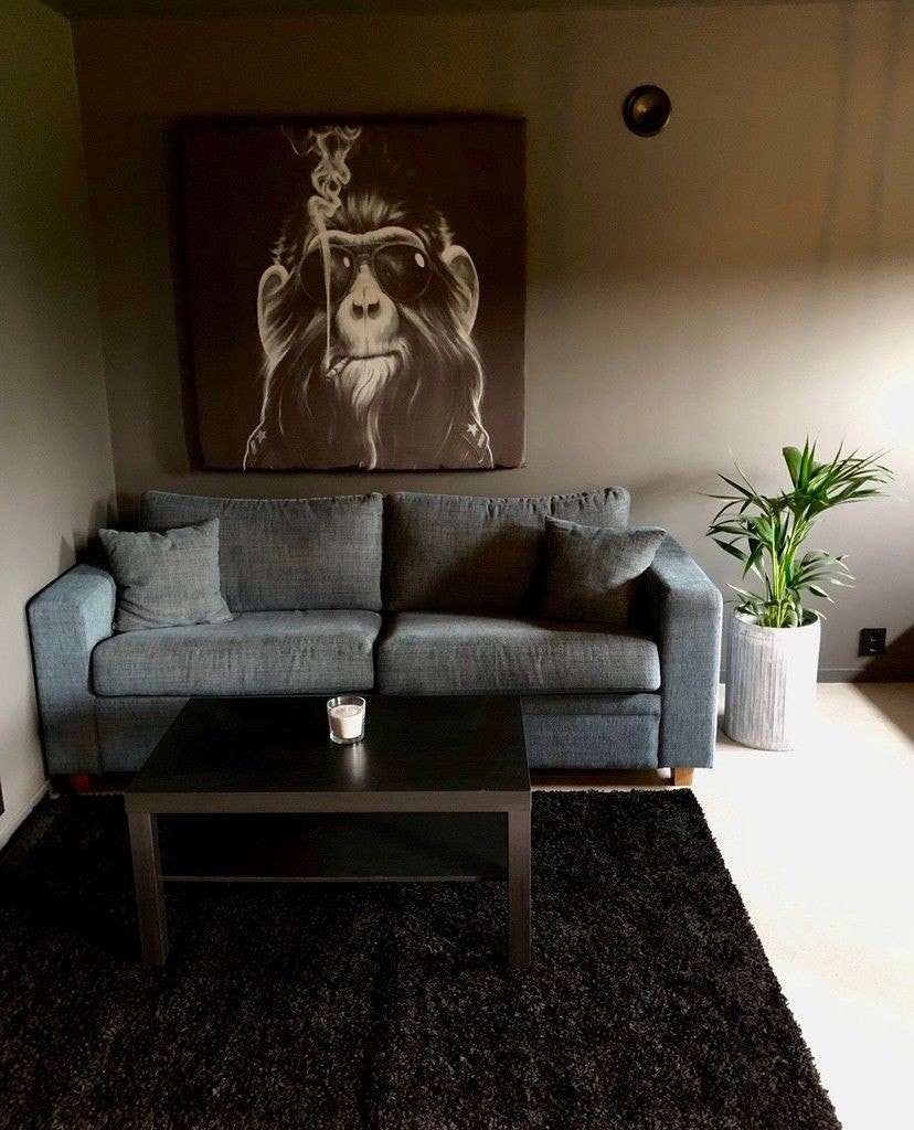 Stue/soverom (Selgers bilde) Galleribilde