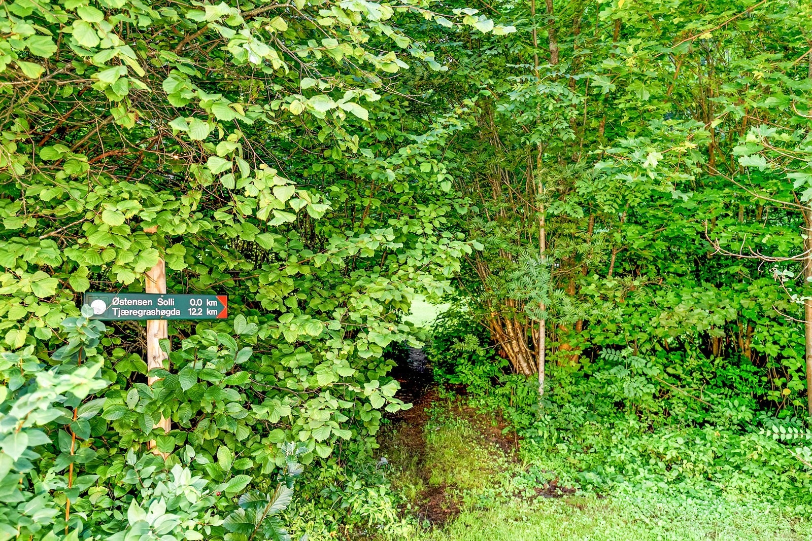 Fra hagen er det en egen sti hvor turen kan gå mot Sauejordet og videre inn i Bærumsmarka Galleribilde