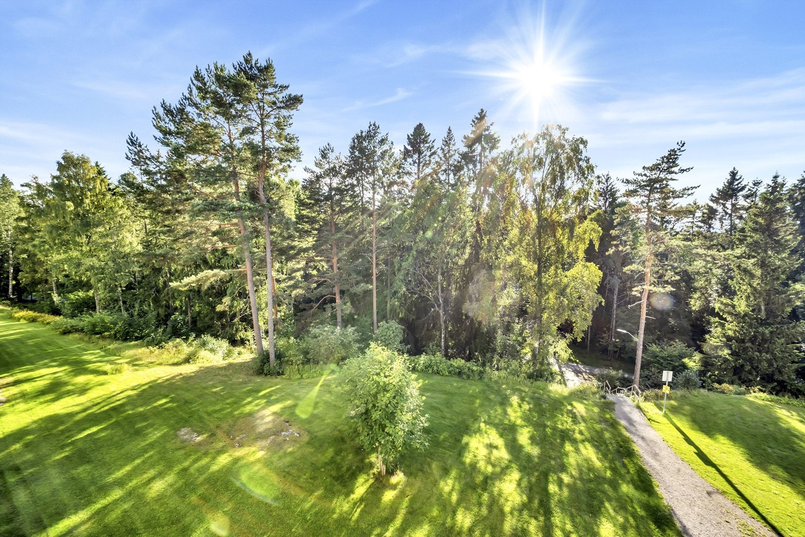 Luftig og frodig utsyn mot Bølerskogen fra balkongen din!
Her det forresten en snarvei gjennom skogen og ned til Bøler senter og t-banen. Galleribilde