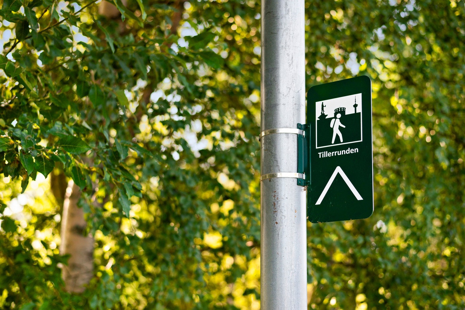 Utstrakte turområder Galleribilde