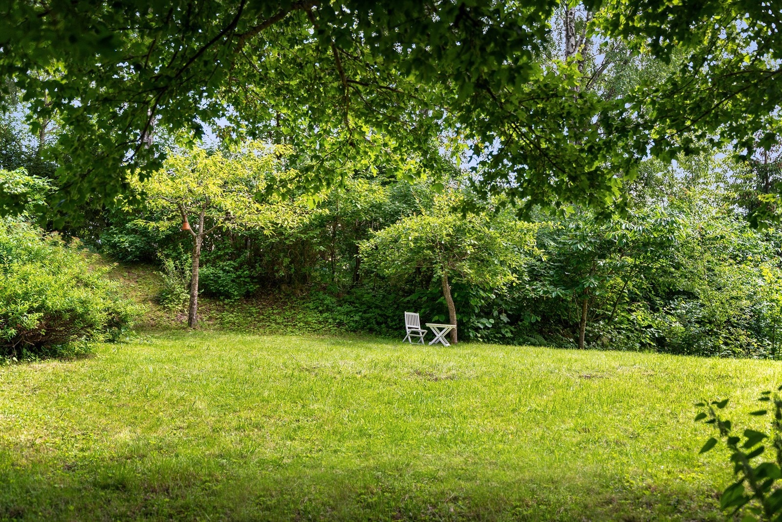 Hagen er som en frodig oase. Galleribilde