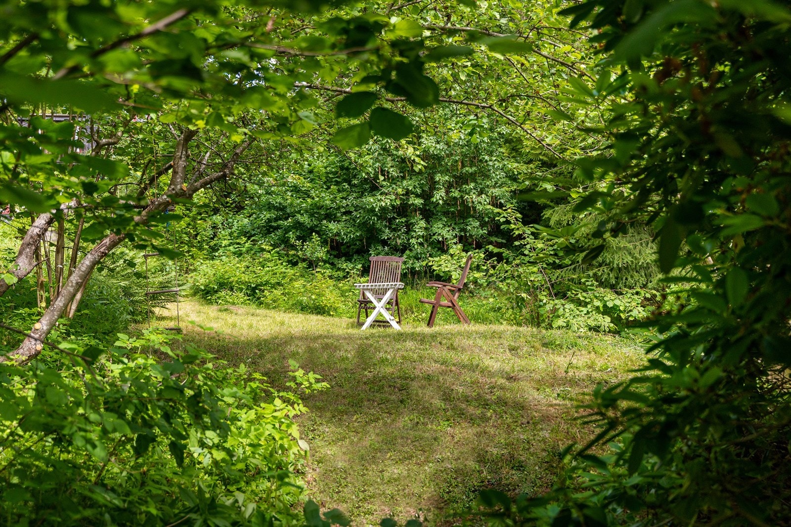 Solrik og frodig hage. Galleribilde