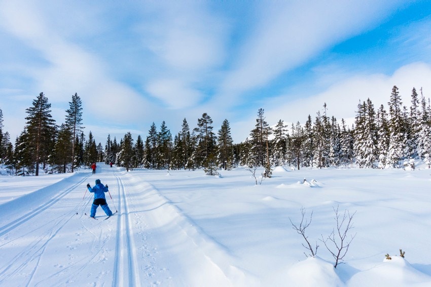 For deg som er glad i langrenn så er det i og rundt Trysilfjellet ca 100 km med preparerte langrennsløyper, og i hele kommunen er det over 500 km med preparerte løyper Galleribilde