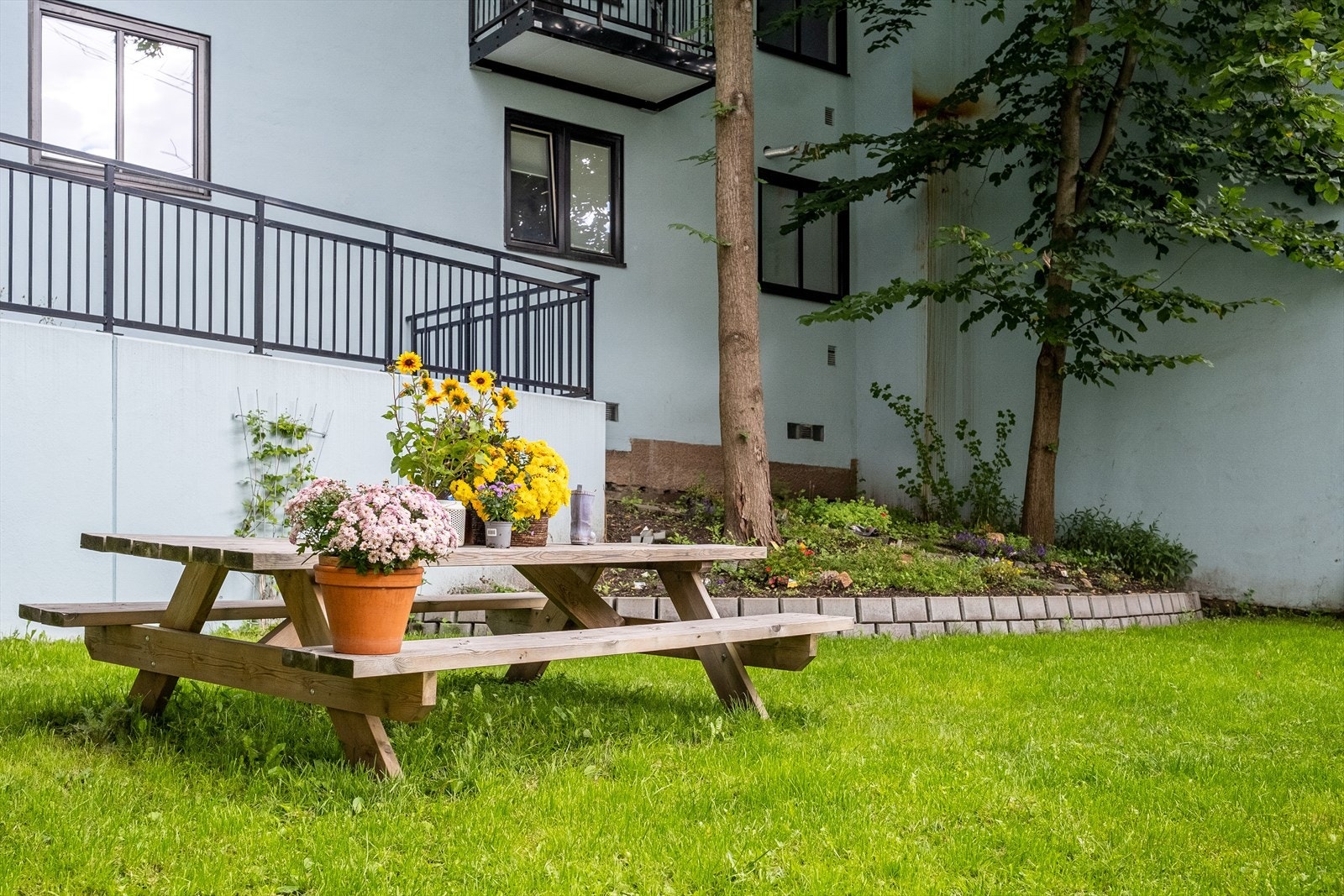 Flere hyggelige sittegrupper og grill Galleribilde