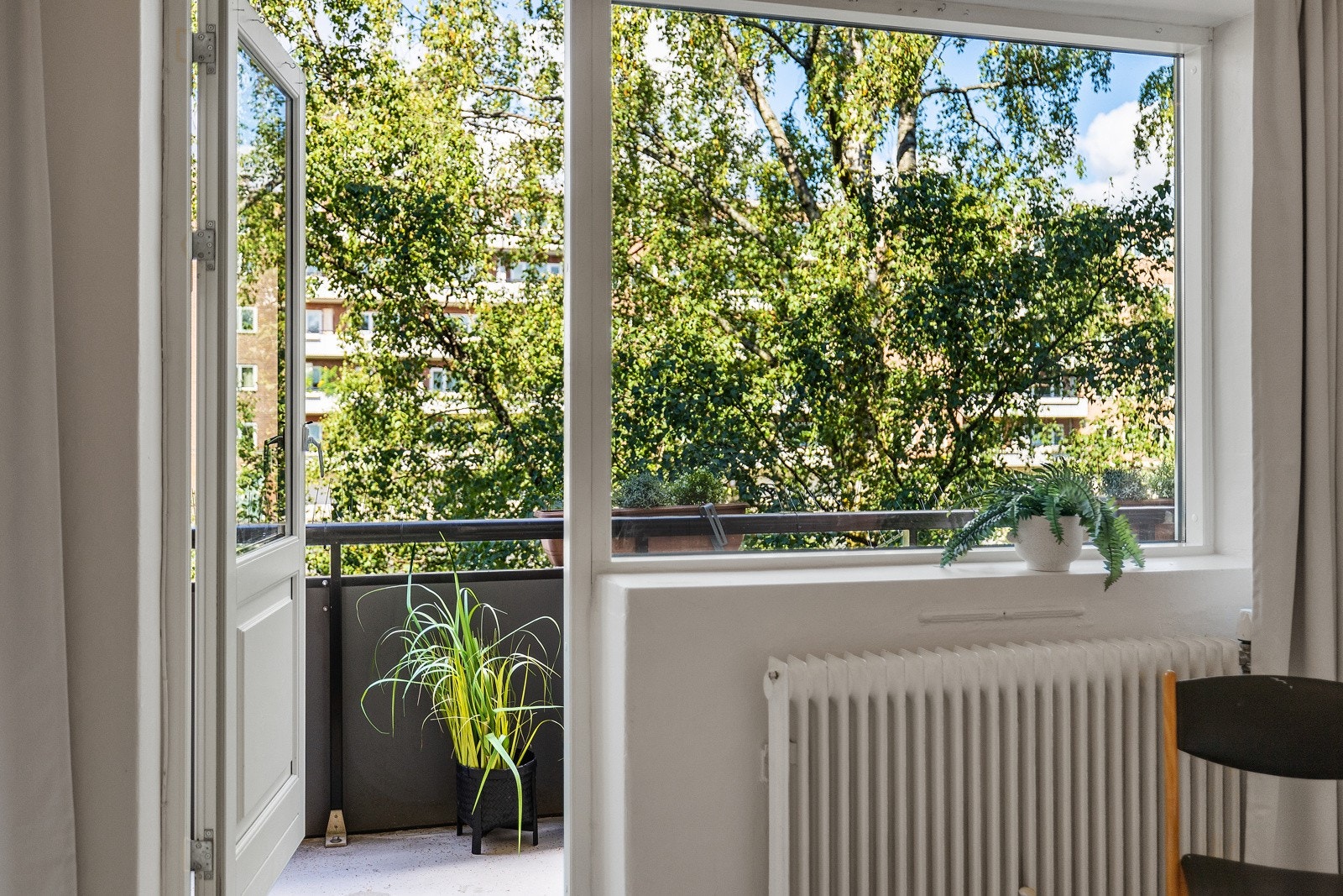 Store vindusflater i stuen. Galleribilde