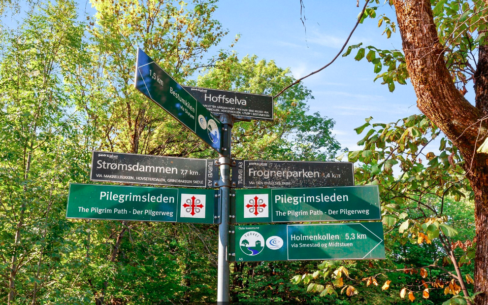 - Nærområdet - Galleribilde