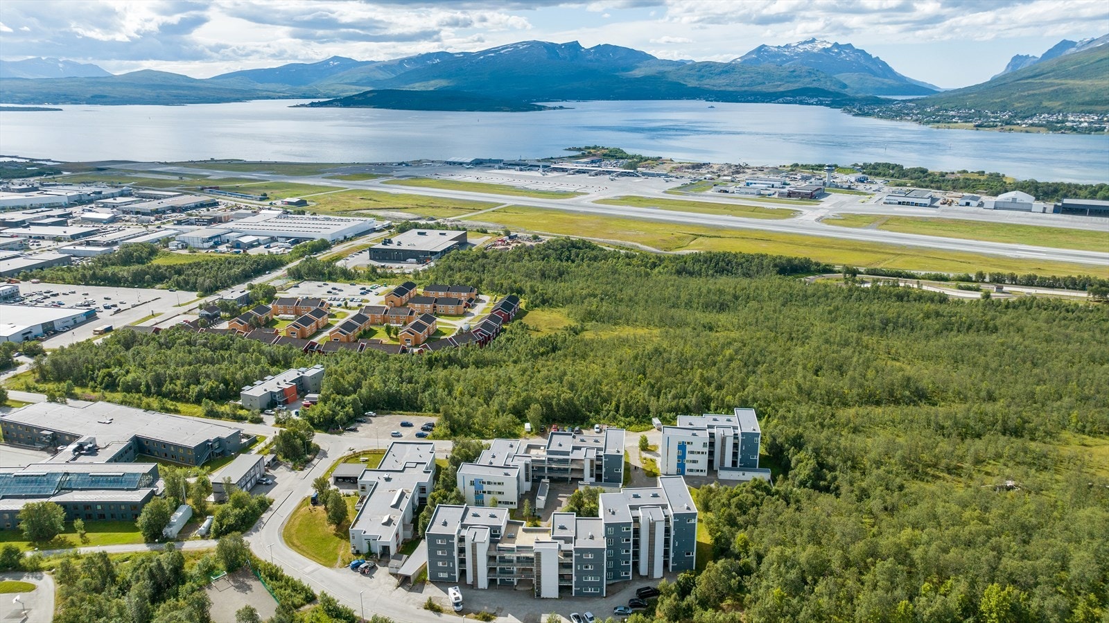 Området Galleribilde