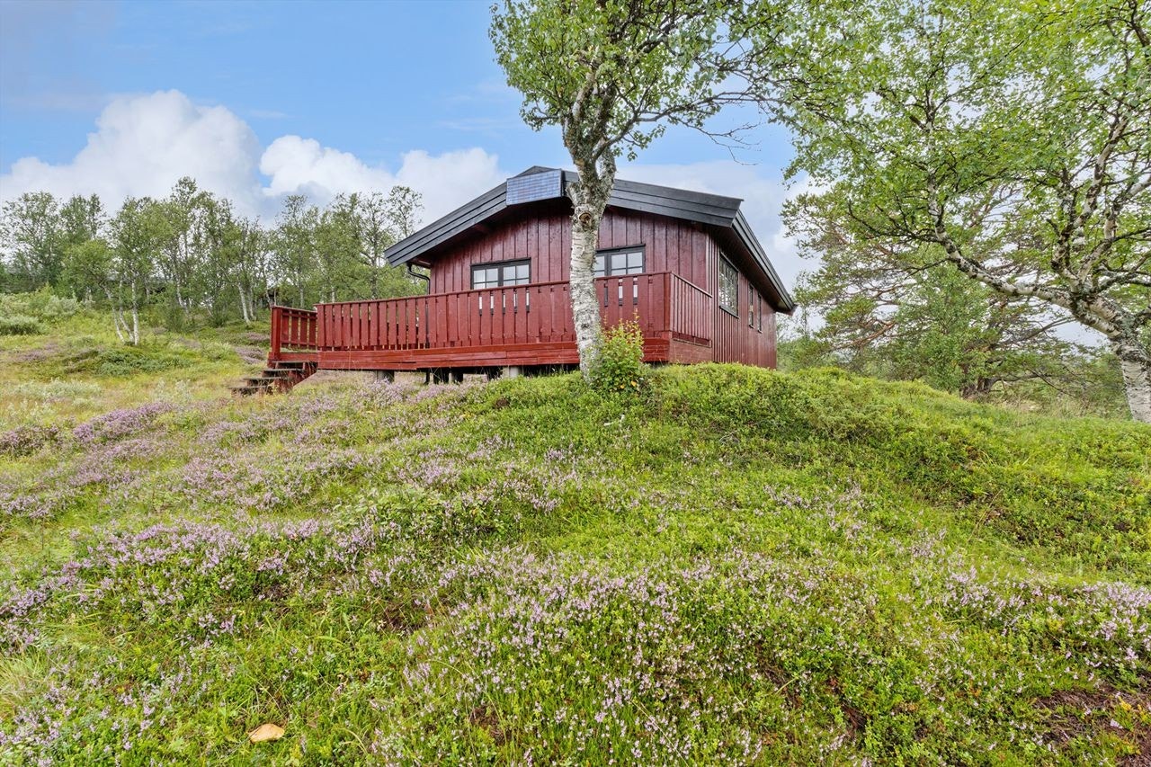 Hytteområdet er spredt bebygd og er et flott utgangspunkt for fjellturer, jakt og fiske Galleribilde