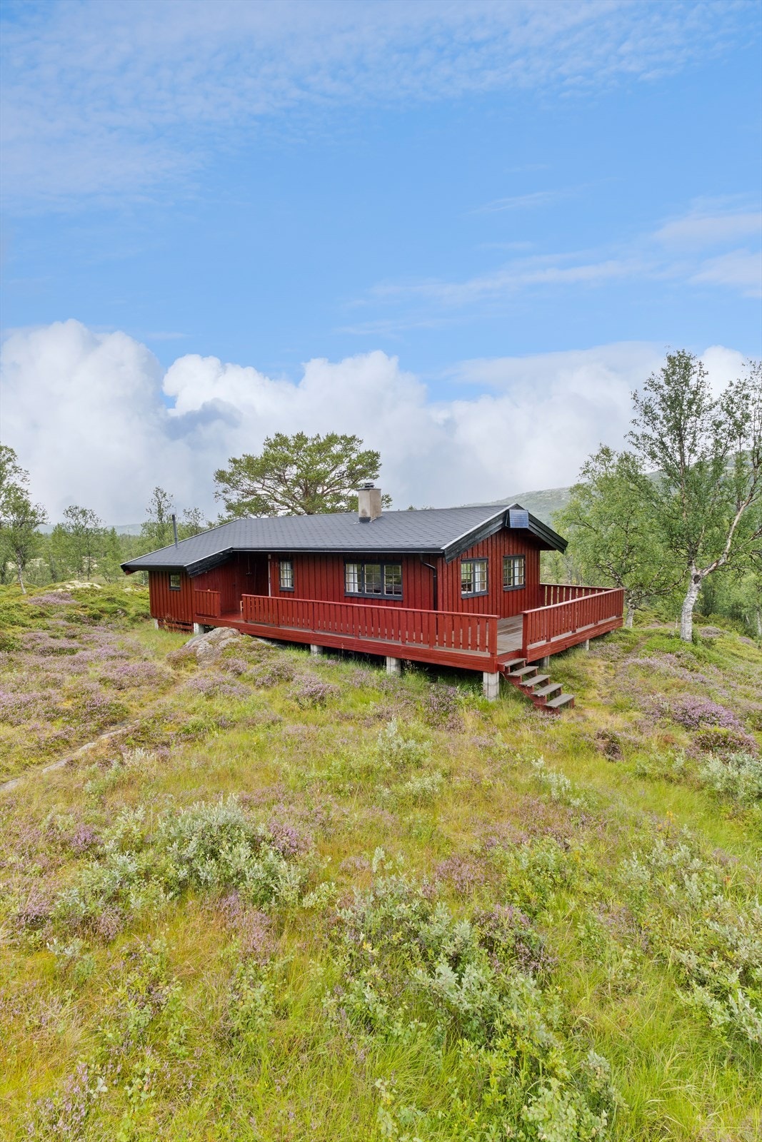 Velkommen til fjells! Galleribilde