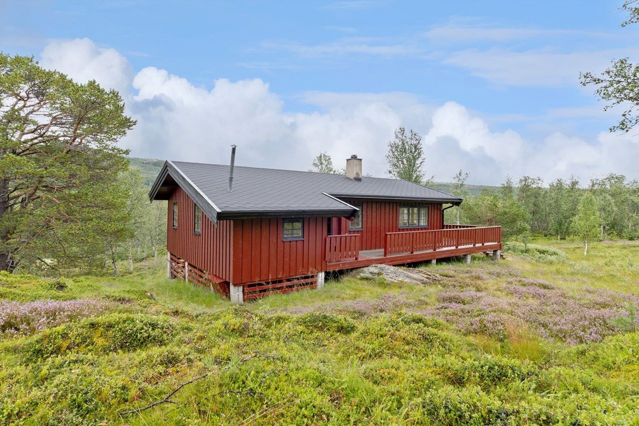 Velkommen til Stølen 75 i Kvikneskogen nord Galleribilde