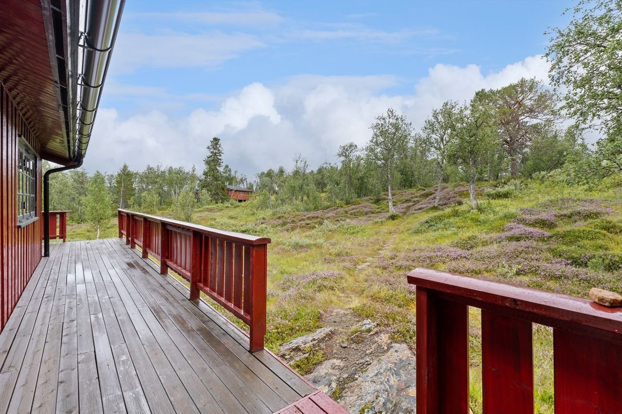 Terrasse ved inngangsparti Galleribilde