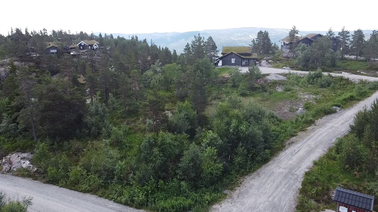 Oversiktsbilde Galleribilde