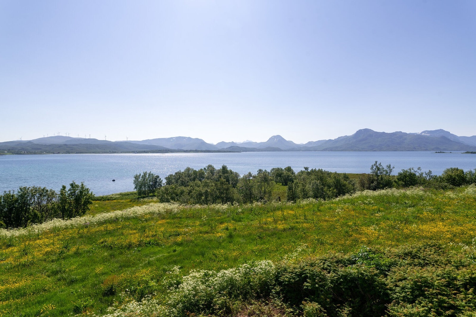 Utsikten Galleribilde