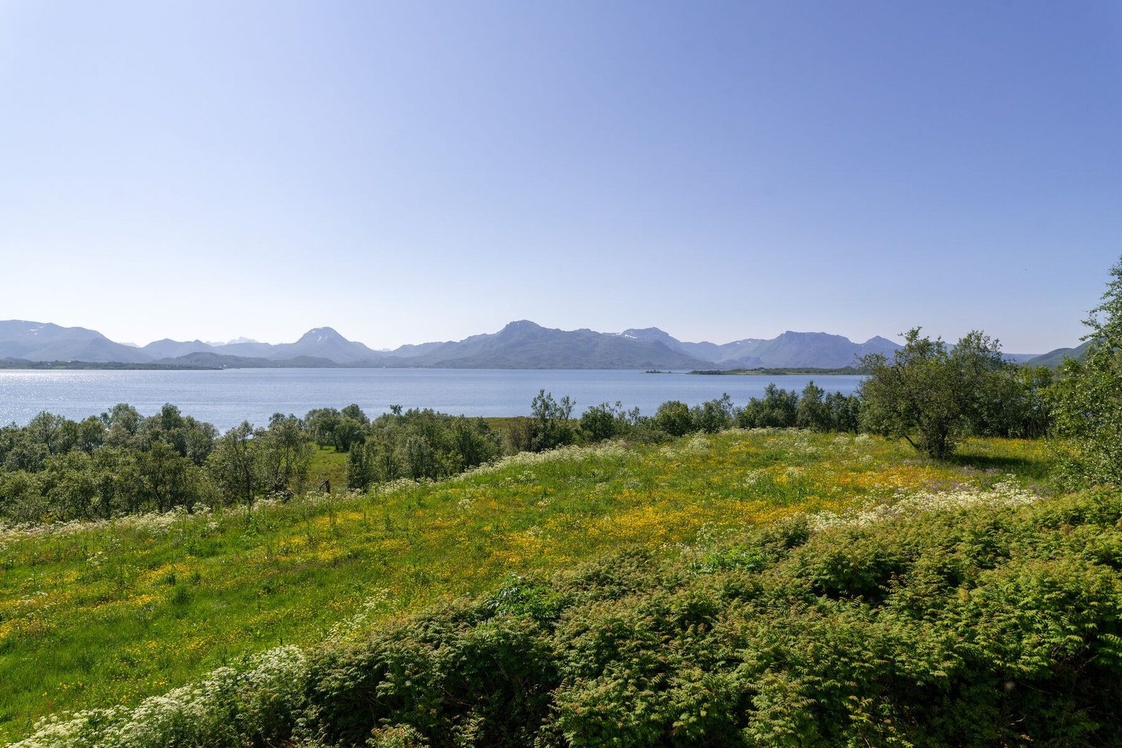 Utsikten Galleribilde