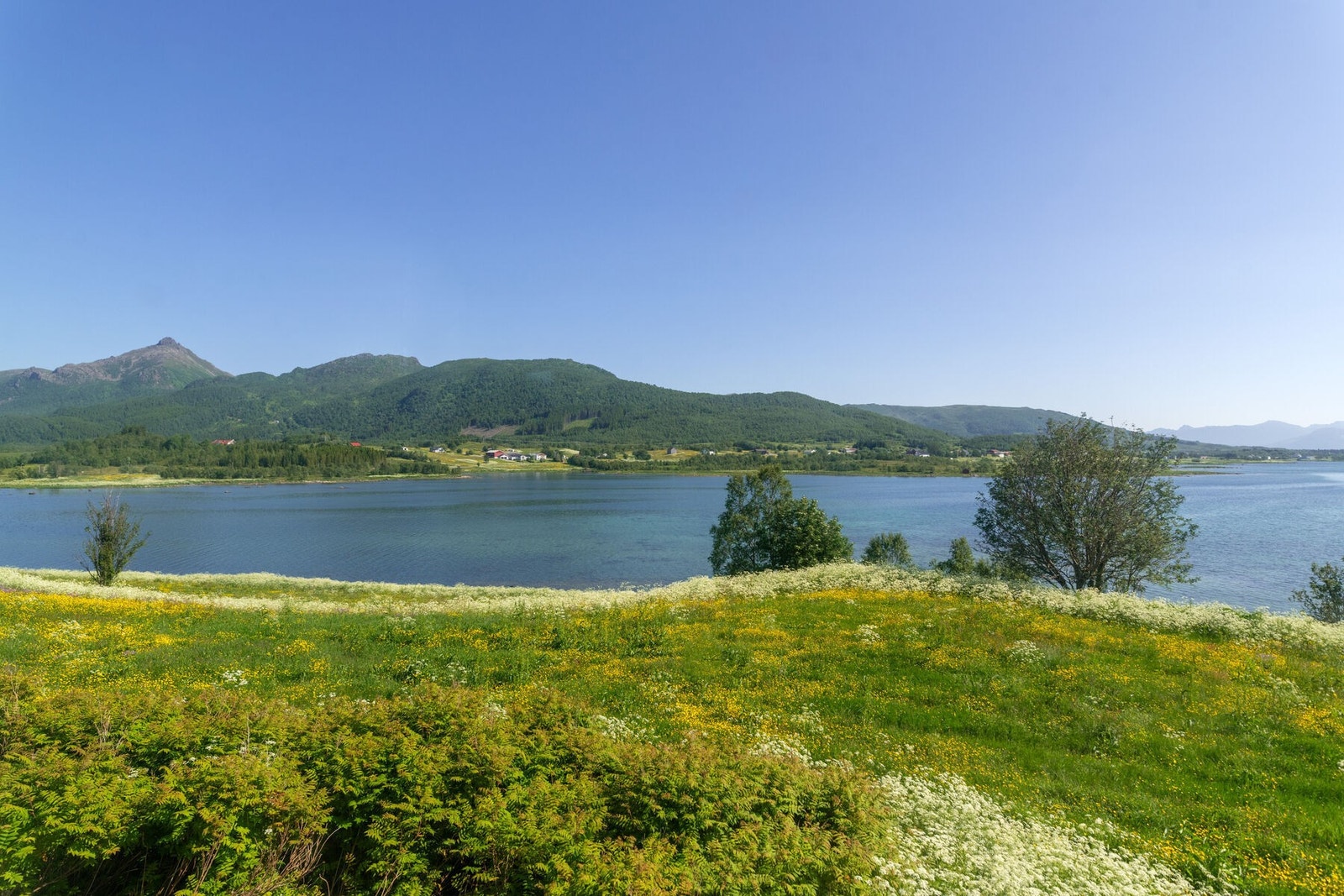 Utsikten Galleribilde