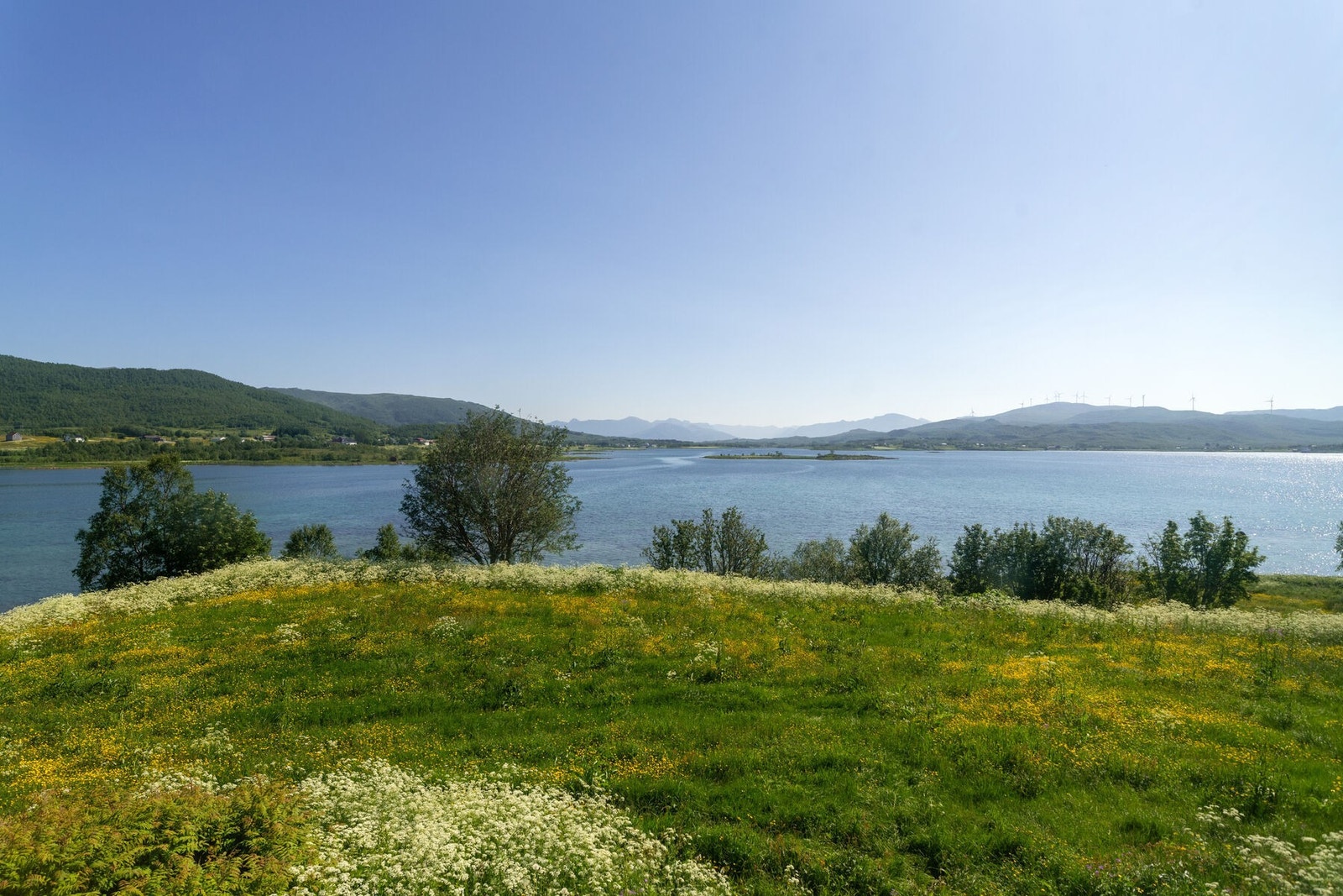 Utsikten Galleribilde