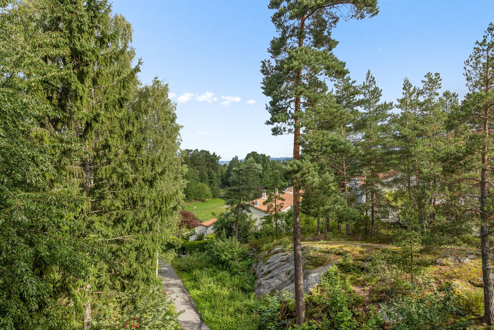 Her kan du nyte er deilig sommermorgen med fuglekvitter. Galleribilde