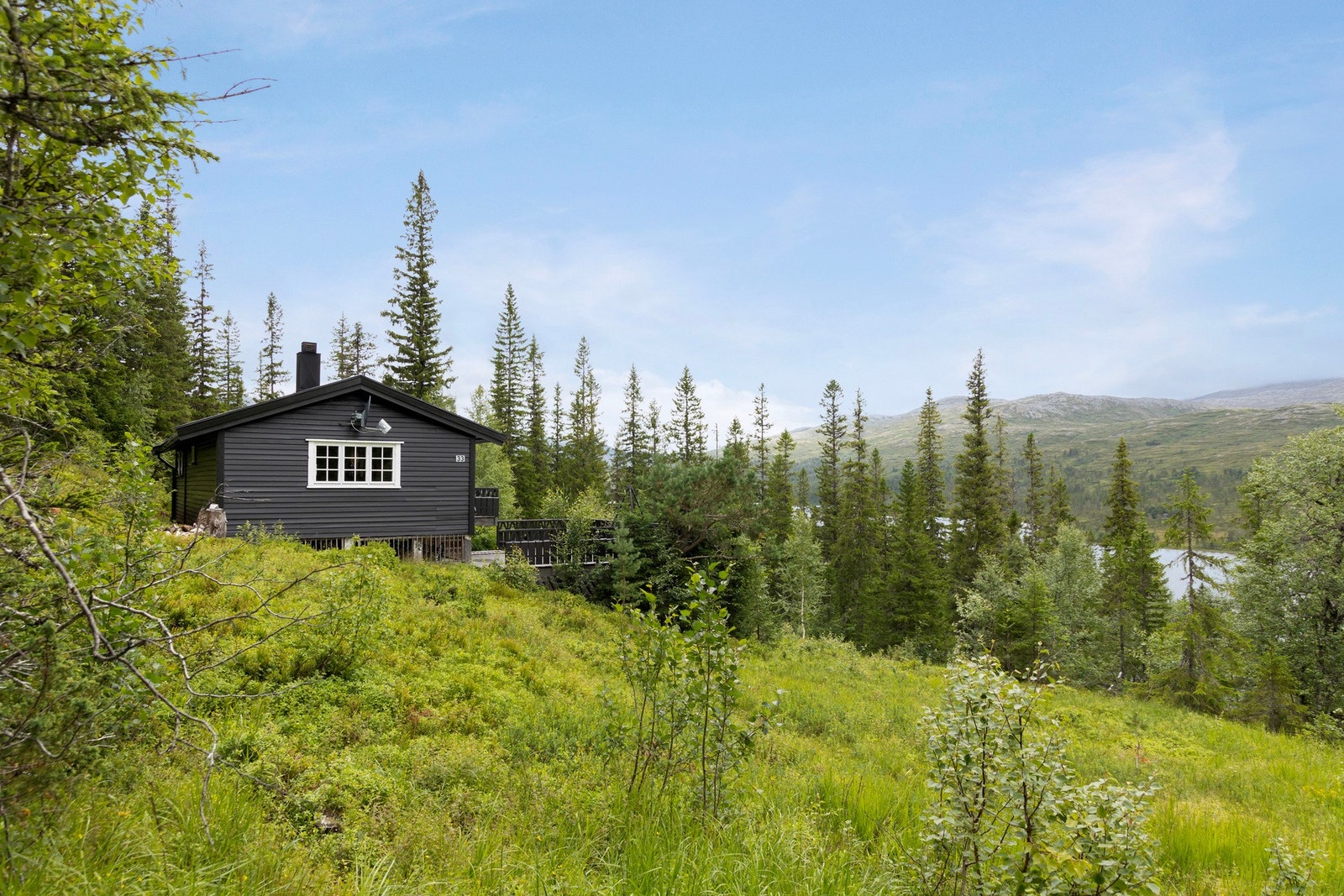 Fra hytta er det mange fine turmuligheter med Skarvan og Roltdalen nasjonalpark helt i nærheten. Galleribilde