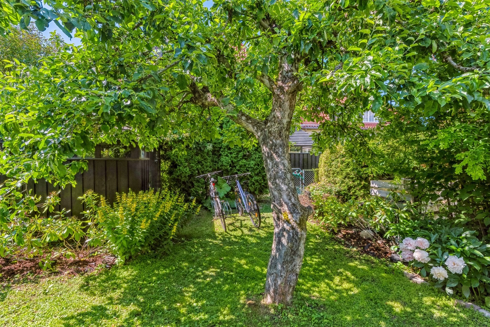 Hagen er frodig med trær, busker og romslig hagebod. Galleribilde