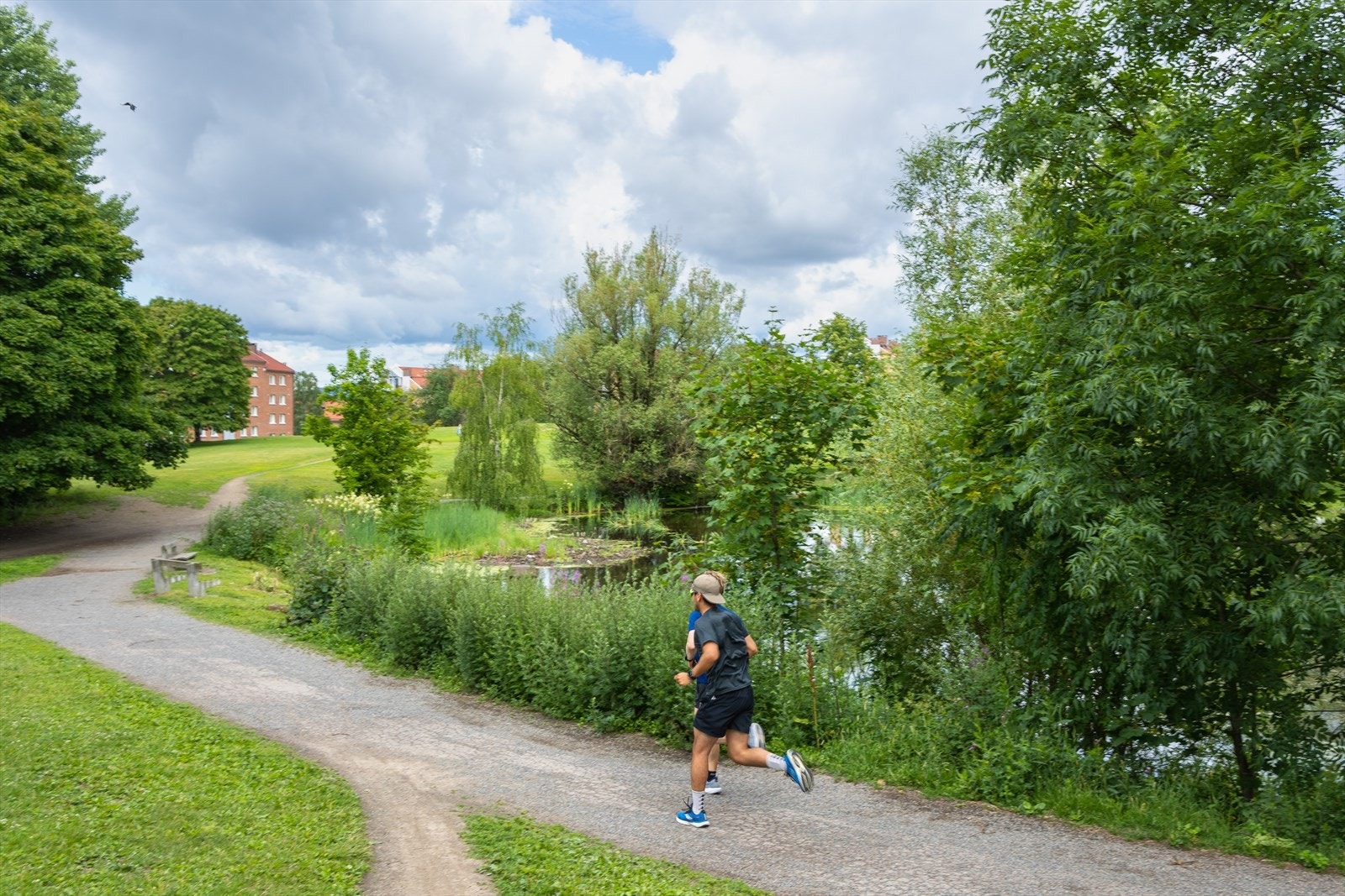 Her er det fine turmuligheter året rundt. Galleribilde