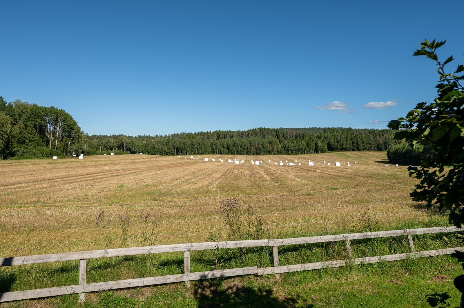 Det er kort vei til fine turområder. Galleribilde