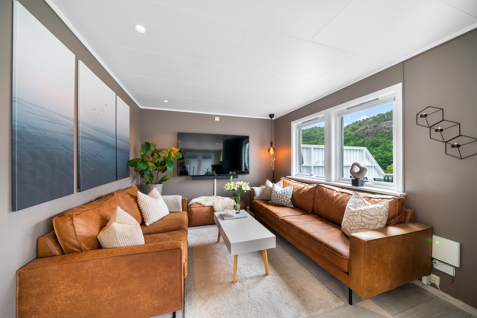 Tv-sone Galleribilde