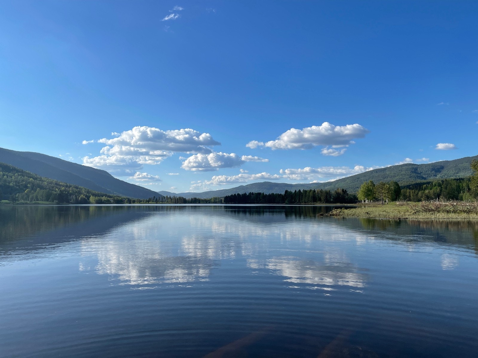 Numedal er en rolig skogsdal som strekker seg nord-nordvestover fra Kongsberg til Dagali, altså retning Geilo. Elven Numedalslågen renner gjennom dalen og vannet i elven har sitt utspring på Hardangervidda. Galleribilde