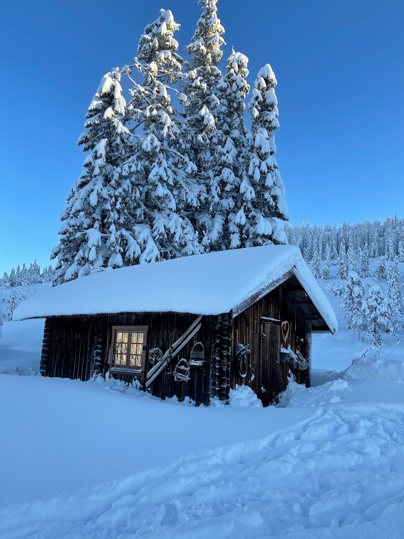 Fløtterudsætra har magiske solnedganger både sommer og vinter. Lyset er helt spesielt vakkert her oppe. Sætra ligger på 680 moh og dette er et snørikt område. Galleribilde