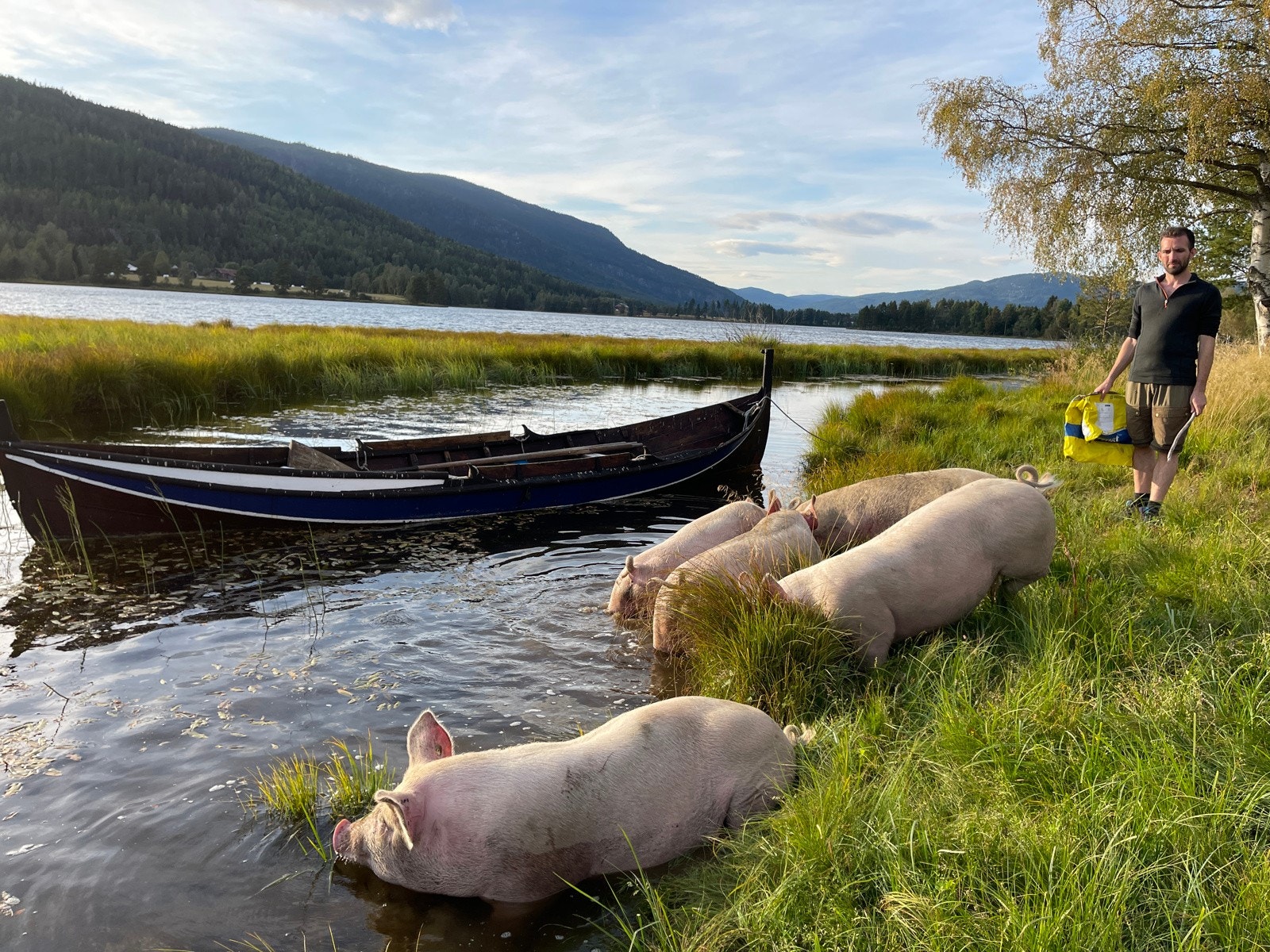 Sommergris-produksjon for å sikre den virkelig gode juleribba og eget bacon er enkelt på Fløtterud! Grisene bor ute i et eget inngjerdet område hele sommeren og koser seg med naturlige beiter og drikker og bader i elven. Galleribilde