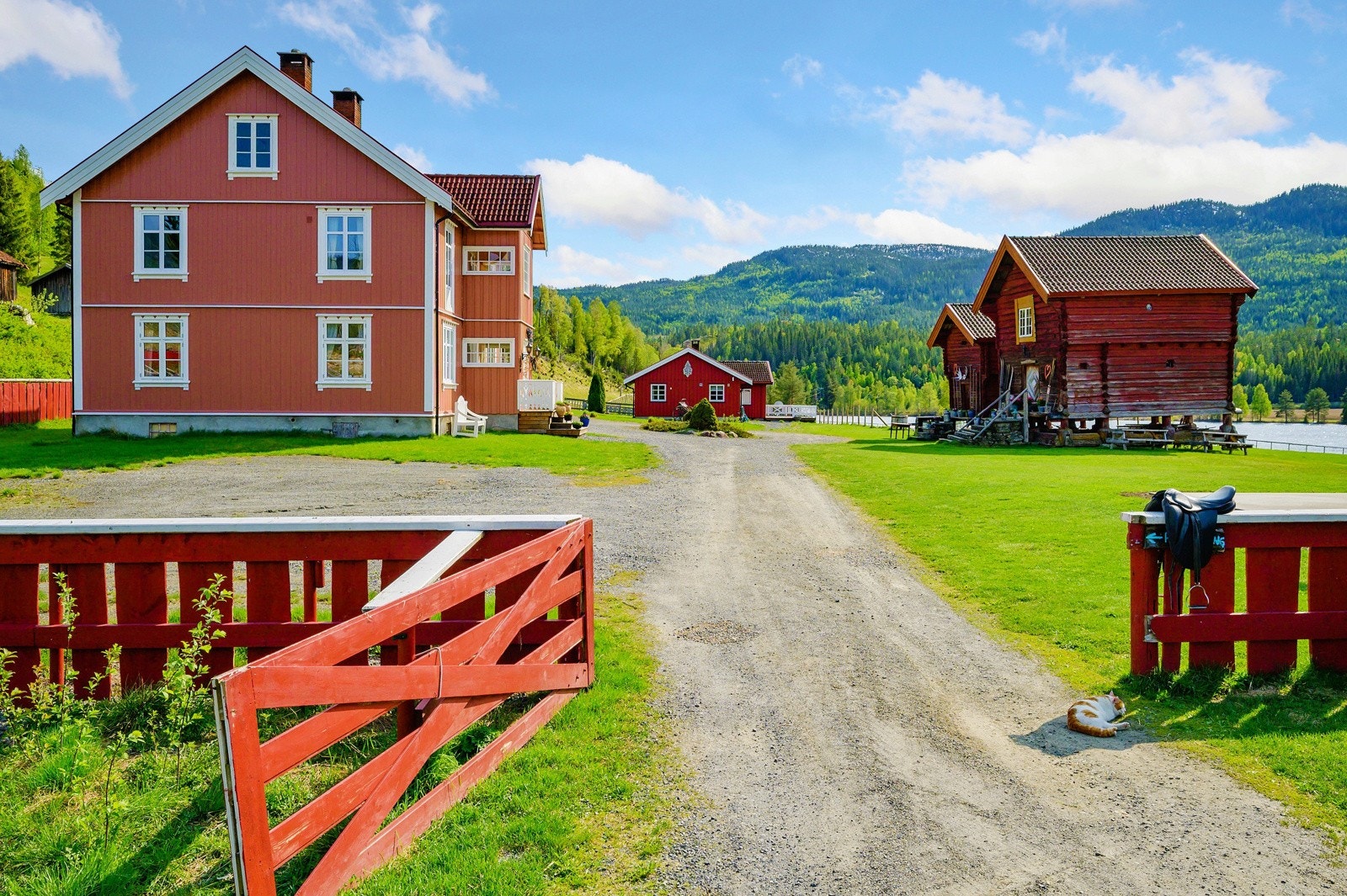 Velkommen til visning! Galleribilde
