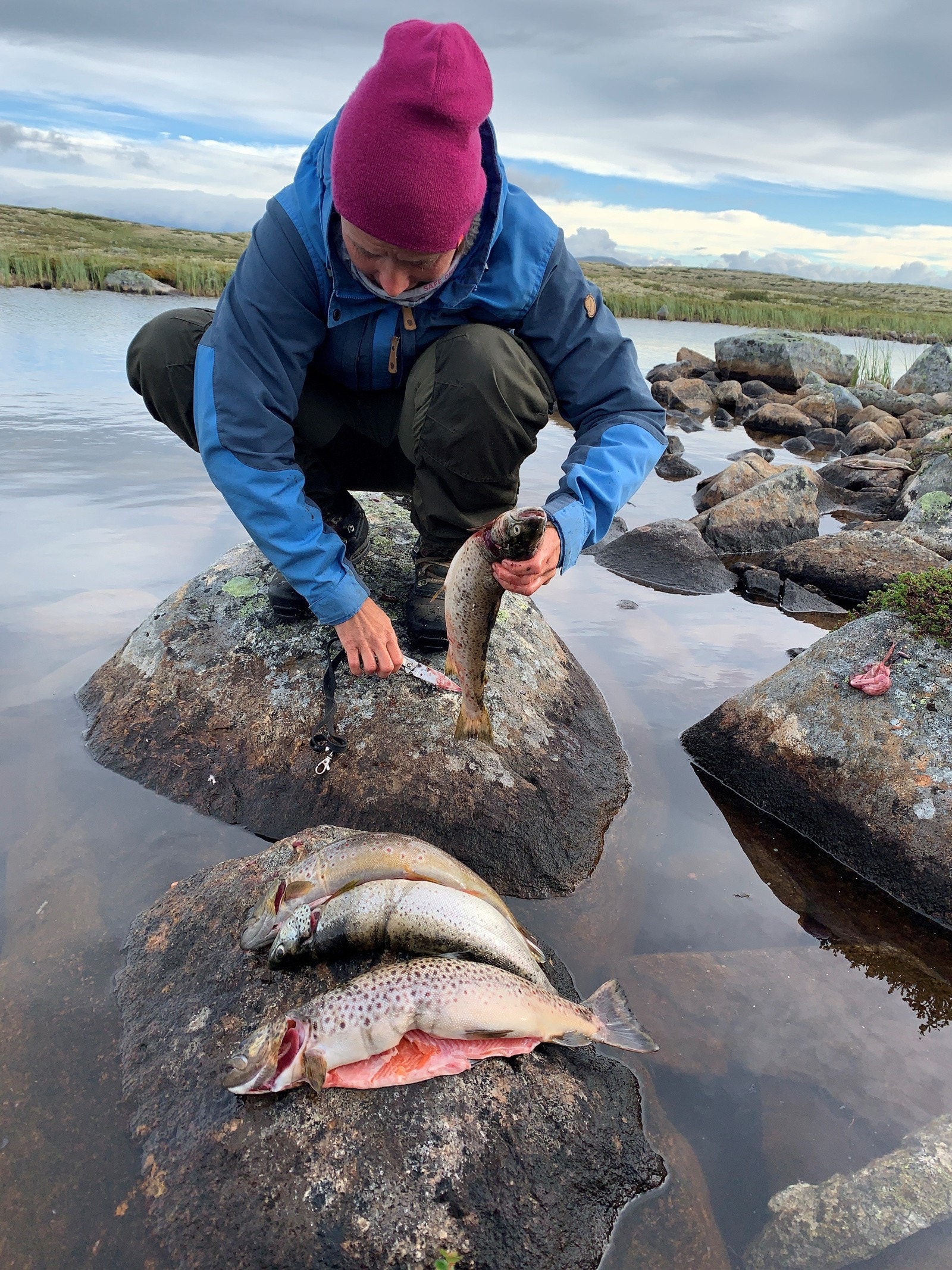 Gårdens plassering i Rollag gir eier rett til å garnfiske i Øvre Numedal Statsalmennings vann på Hardangervidda. Man kan bo meget rimelig på Fjellstyrets fine hytter. Galleribilde