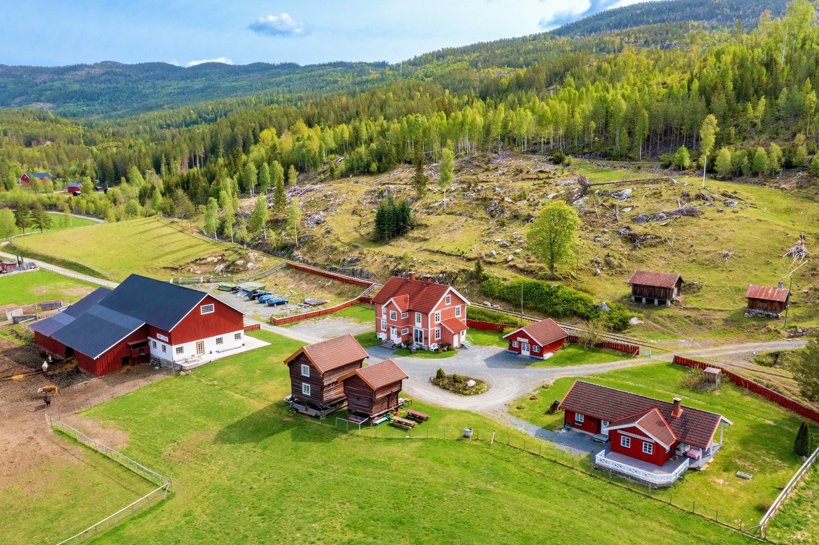 Særpreget nyoppusset våningshus, kårbolig, 2 velholdte eldgamle stabbur, gårdsbutikk/serveringslokale, velholdt stor driftsbygning med ammeku- og sauefjøs, kennelavdeling og masse lagerplass, gammel smie og sommerfjøs. Galleribilde