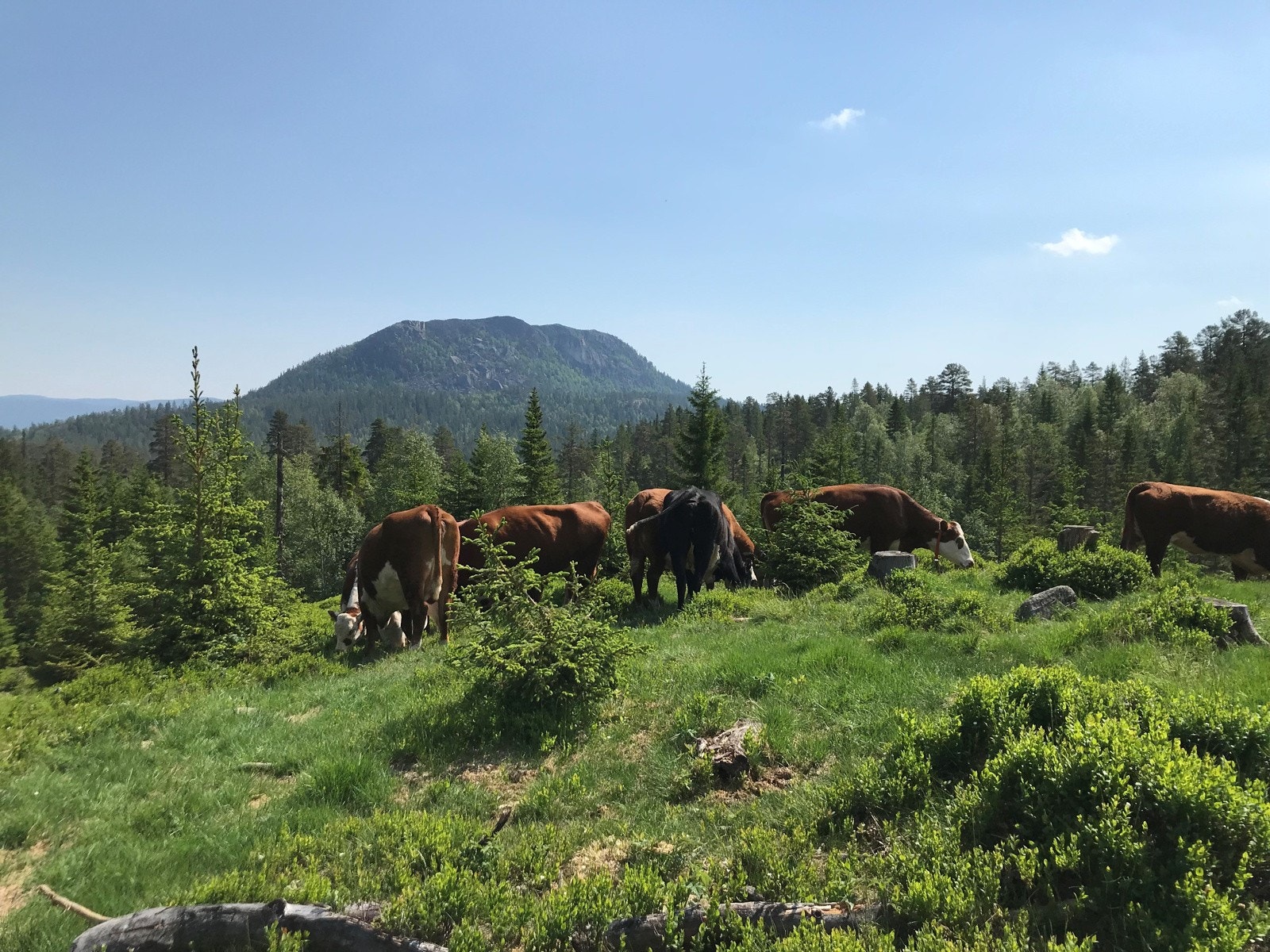 Fløtterud Gårds eiendom strekker seg fra elven Numedalslågen og 7,5 km øst, nord-øst til rett nord for det karakteristiske fjellet Tekslehogget , beliggende på grensen til Sigdal. Galleribilde