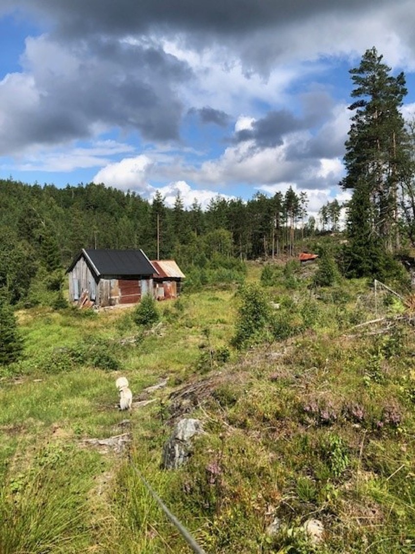 Myrane og Karls hus Galleribilde