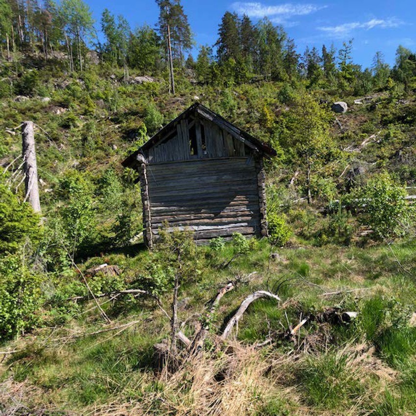 Myrane, Karls hus Galleribilde
