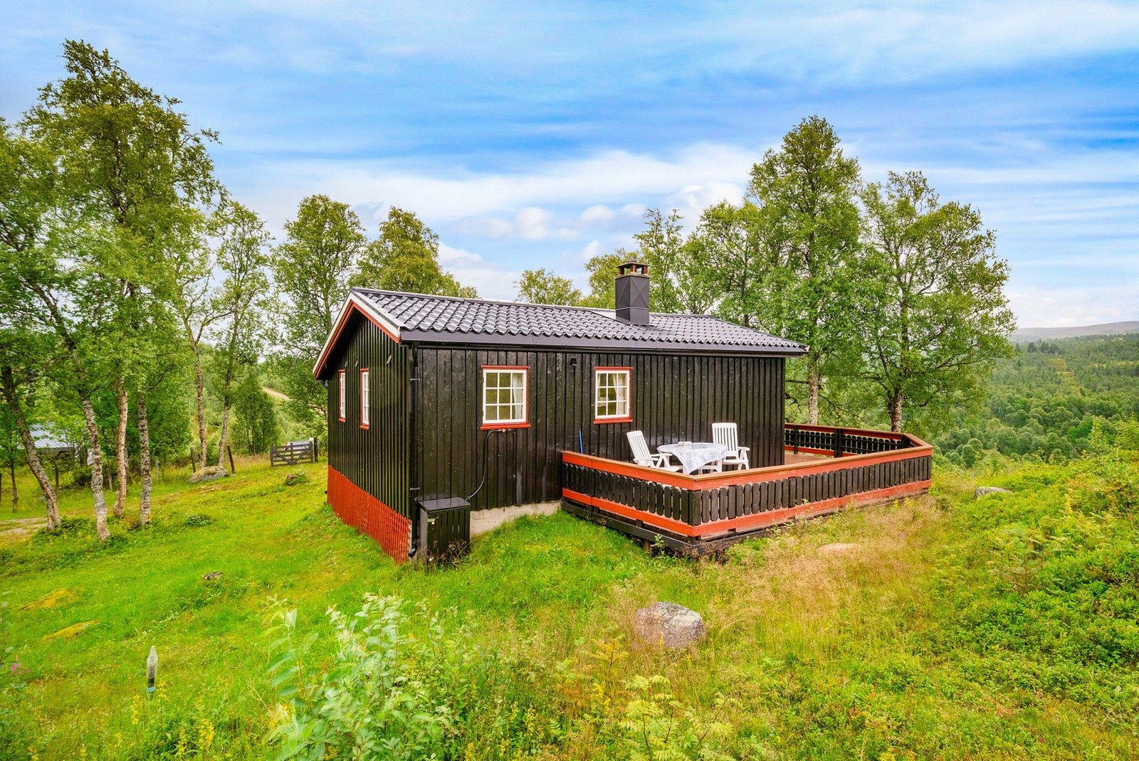 Velkommen til en hyggelig visning! Galleribilde