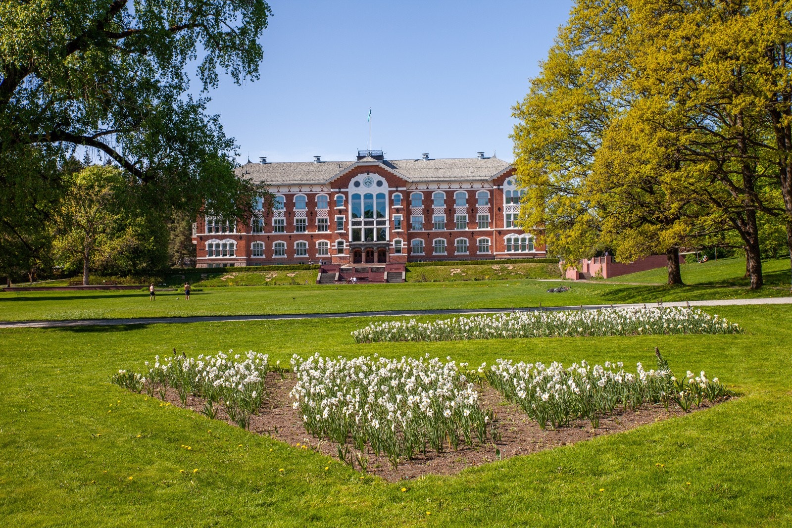 Fra leiligheten er det gangavstand til NMBU Galleribilde