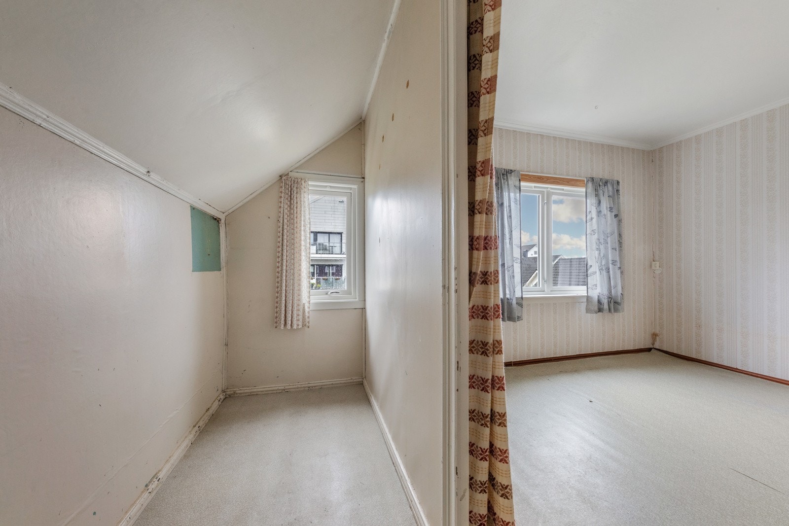Kott med vindauge Galleribilde