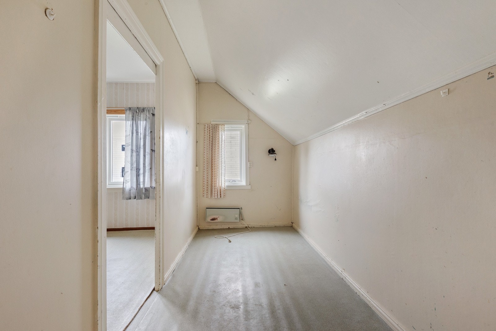 Kott med vindauge Galleribilde