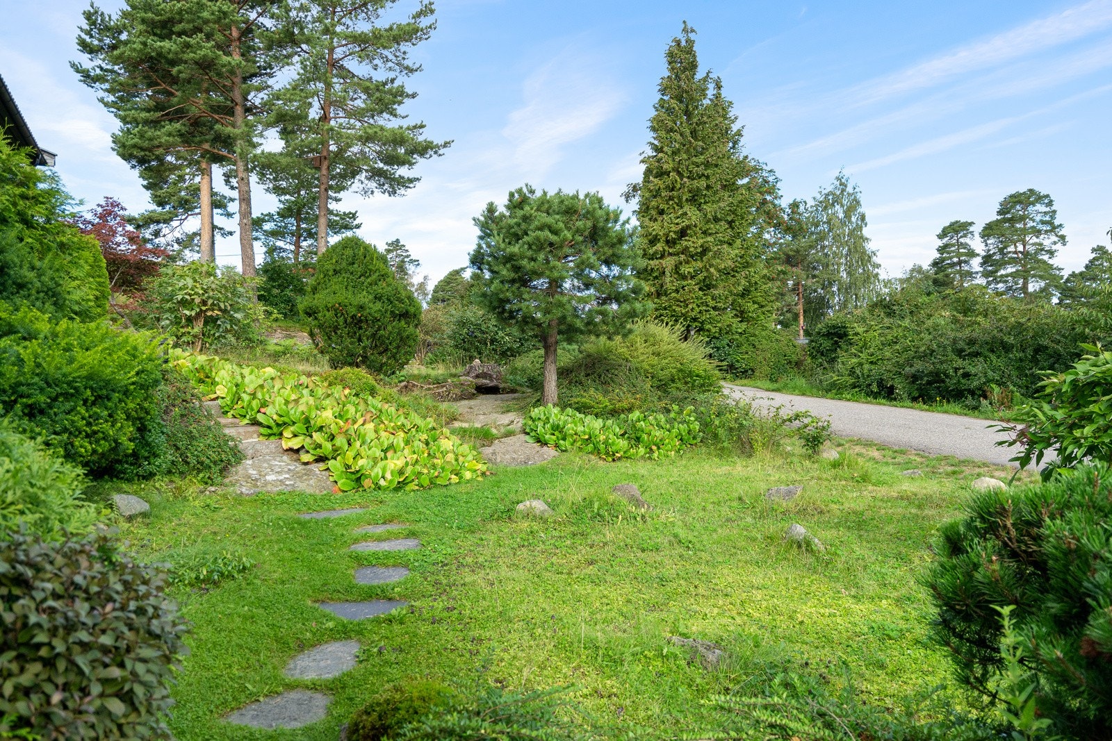 Hage mot vest Galleribilde