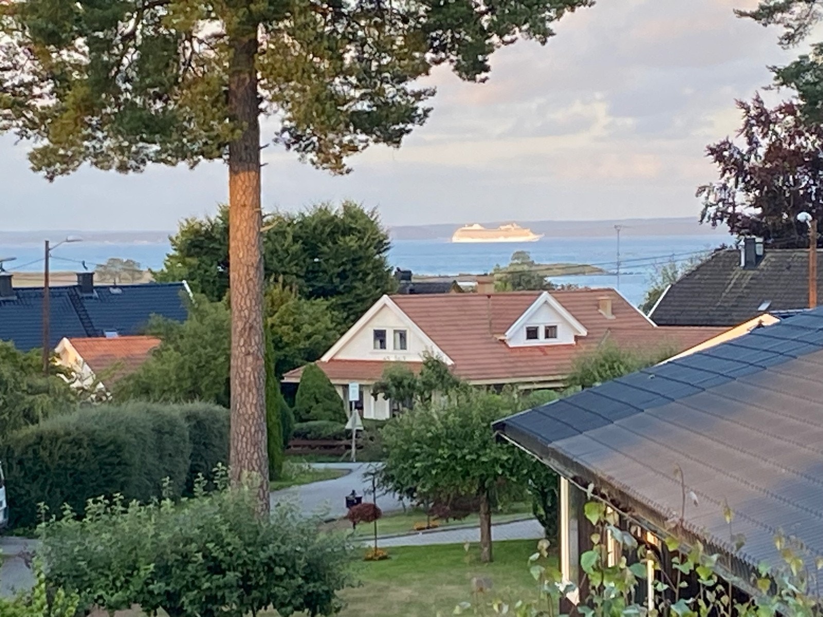 Selgers private bilde Galleribilde